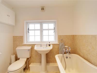 Picture 20